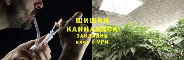 mdpv Богородск