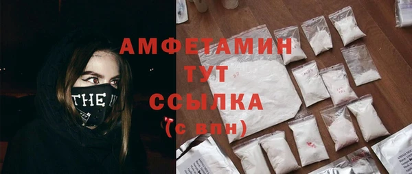 прущие крисы Бородино