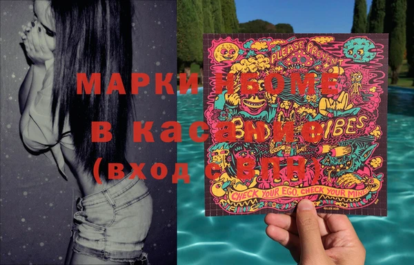 прущие крисы Бородино