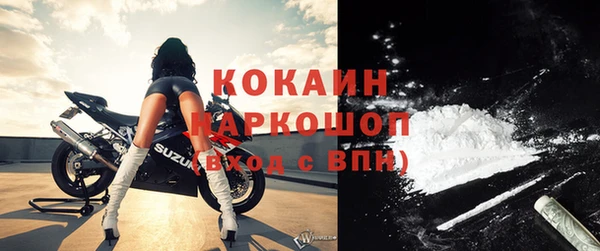 прущие крисы Бородино