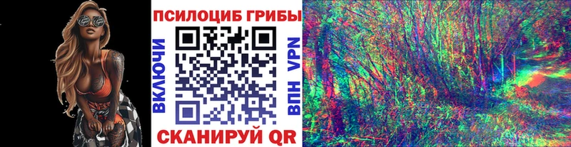 Галлюциногенные грибы Magic Shrooms закладка Владимир
